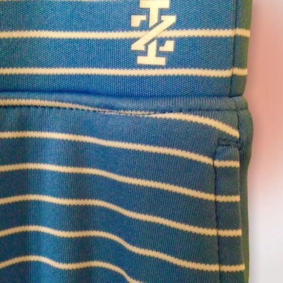 Izod Blue And White Striped Golf‎ Skort With Pockets Size L NWOT - Picture 3 of 8
